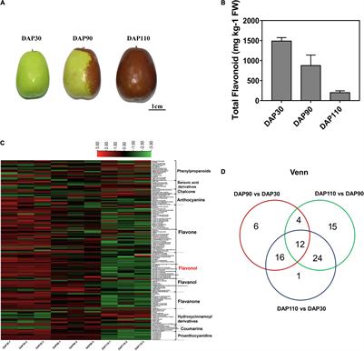 Frontiers Association of Bitter Metabolites and Flavonoid